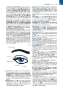 Buchcover und Innenansicht für das Buch: Langenscheidt Großwörterbuch Deutsch als Fremdsprache