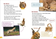 Buchcover und Innenansicht für das Buch: WAS IST WAS Erstes Lesen Band 17. Raubkatzen