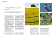 Buchcover und Innenansicht für das Buch: Wilde Kübel