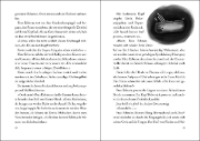 Buchcover und Innenansicht für das Buch: Gwin Und Das Herz Des Drachen