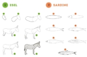 Buchcover und Innenansicht für das Buch: Mes 300 modèles à dessiner en pas à pas animaux