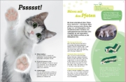 Buchcover und Innenansicht für das Buch: WAS IST WAS Katzen. Eigenwillige Schnurrer