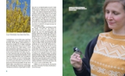Buchcover und Innenansicht für das Buch: Tierisch viel los!