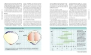 Buchcover und Innenansicht für das Buch: Dein Bike, dein Fitting