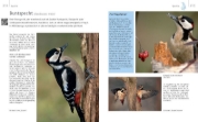 Buchcover und Innenansicht für das Buch: Vögel zu Gast im Garten - Heimische Vögel beobachten, bestimmen, schützen.