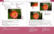 Buchcover und Innenansicht für das Buch: Photoshop Elements 2026 - Bild für Bild erklärt