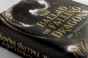 Buchcover und Innenansicht für das Buch: The Ballad of Falling Dragons