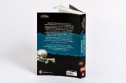 Buchcover und Innenansicht für das Buch: Düstere Geheimnisse