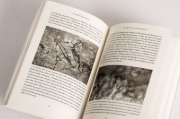 Buchcover und Innenansicht für das Buch: Brief History of Man