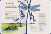 Buchcover und Innenansicht für das Buch: verwandelt