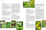 Buchcover und Innenansicht für das Buch: Der Selbstversorger: Mein Gartenwissen