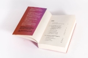 Buchcover und Innenansicht für das Buch: Dieser Schmerz ist nicht meiner