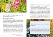 Buchcover und Innenansicht für das Buch: Mein Garten wird ein Naturgarten