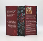 Buchcover und Innenansicht für das Buch: The Wicked and the Damned