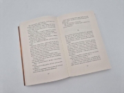 Buchcover und Innenansicht für das Buch: Das Bettelmädchen