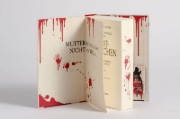Buchcover und Innenansicht für das Buch: The Girl in Red