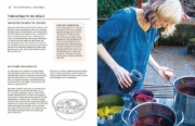 Buchcover und Innenansicht für das Buch: Das Handbuch der Pflanzenfarben