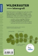 Buchcover und Innenansicht für das Buch: Wildkräuter am Blatt erkennen