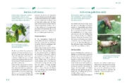 Buchcover und Innenansicht für das Buch: Gärtnern für Gartenneulinge