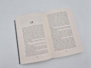 Buchcover und Innenansicht für das Buch: Missing