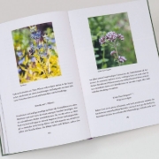 Buchcover und Innenansicht für das Buch: Gardening for Bumblebees