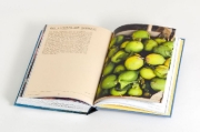 Buchcover und Innenansicht für das Buch: La Cuisine des Lacs Italiens