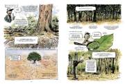 Buchcover und Innenansicht für das Buch: La Vie secrète des arbres en BD