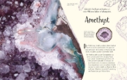 Buchcover und Innenansicht für das Buch: Wundervolle Welt. Erde