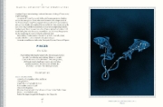 Buchcover und Innenansicht für das Buch: Classical Mythology of the Constellations