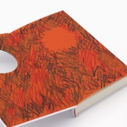 Buchcover und Innenansicht für das Buch: Bewerbungen um einen Job als Mensch