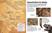 Buchcover und Innenansicht für das Buch: memo Wissen Kids. Steine und Mineralien