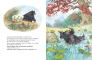 Buchcover und Innenansicht für das Buch: Beer en Egel