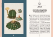Buchcover und Innenansicht für das Buch: Der Garten des Apothekers