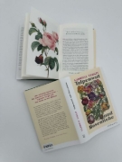 Buchcover und Innenansicht für das Buch: Tulpenwut und Rosenliebe