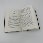 Buchcover und Innenansicht für das Buch: Vengeance