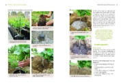 Buchcover und Innenansicht für das Buch: Bio-Wein im eigenen Garten