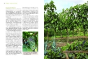 Buchcover und Innenansicht für das Buch: Bio-Wein im eigenen Garten