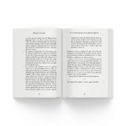 Buchcover und Innenansicht für das Buch: Meistere dein Mindset