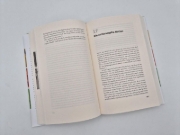 Buchcover und Innenansicht für das Buch: Der deutsche Sommer