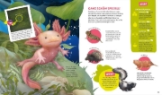 Buchcover und Innenansicht für das Buch: WAS IST WAS Kids Supertiere. Rekordhalter an Land, in der Luft und im Wasser