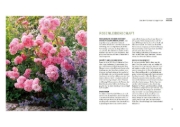 Buchcover und Innenansicht für das Buch: Mein schöner pflegeleichter Garten. Gewusst wie - geschickte Garten-Planung und Pflanzenauswahl