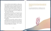 Buchcover und Innenansicht für das Buch: Leuchte. Wachse. Gehe deinen Weg.