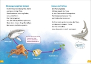 Buchcover und Innenansicht für das Buch: WAS IST WAS Erstes Lesen Band 16. Haie