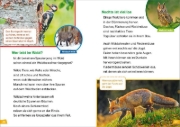 Buchcover und Innenansicht für das Buch: WAS IST WAS Erstes Lesen Band 4. Natur entdecken