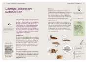 Buchcover und Innenansicht für das Buch: Dein Projekt. Dein Guide. Gärtnern mit Hochbeet