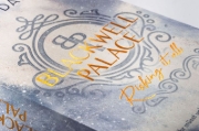 Buchcover und Innenansicht für das Buch: Blackwell Palace. Risking it all