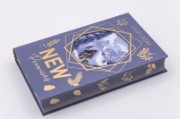 Buchcover und Innenansicht für das Buch: New Promises