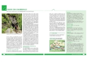 Buchcover und Innenansicht für das Buch: Wandertouren für Senioren. 44 Routen zwischen Berchtesgaden & Füssen plus Routen für Rollstuhl und Rollator. Auch für Kinderwagen geeignet.