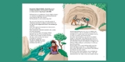 Buchcover und Innenansicht für das Buch: Der rätselhafte Verwandte aus der Eiszeit