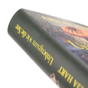 Buchcover und Innenansicht für das Buch: The Sirens